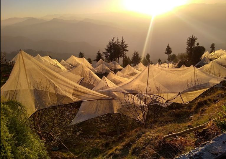 Aastha Homestay :: image #74