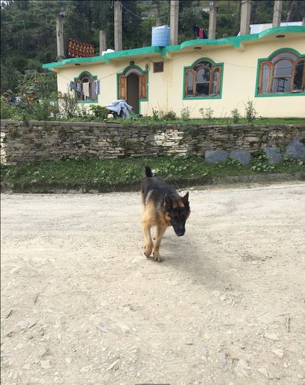 Aastha Homestay :: image #77